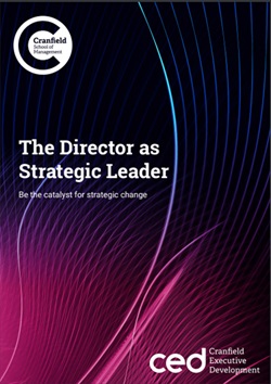 The Director As Strategic Leader