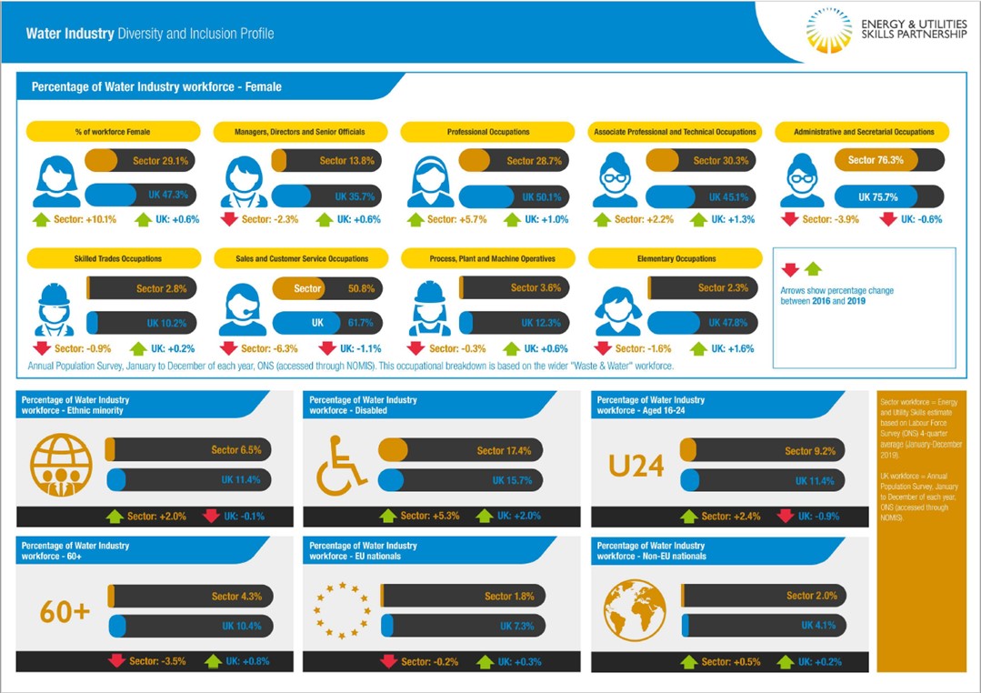 Diversity and inclusion profile for the water industry