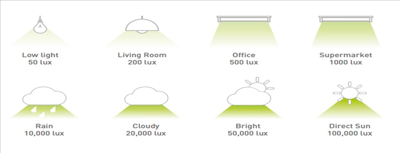 Light intensity (in lux) in different environments