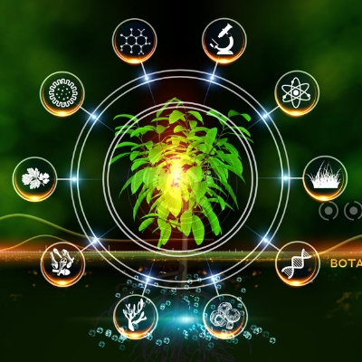 SWEE Alumni Awards Excellence Environment and Agrifood