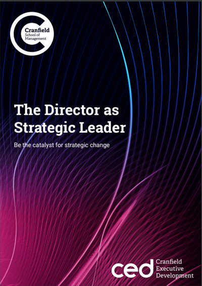 The Director As Strategic Leader