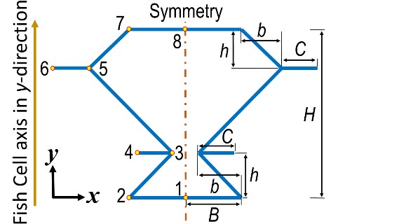 Fish cells graph