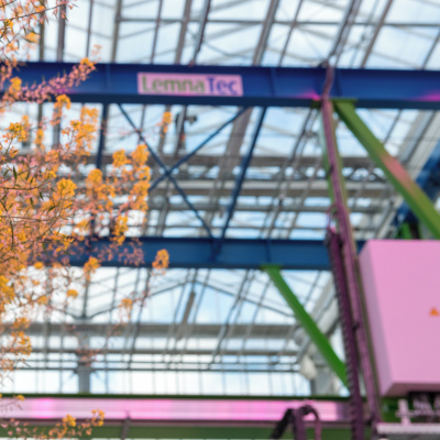 Group of people working around a table