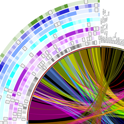 Bioinformatics diagram