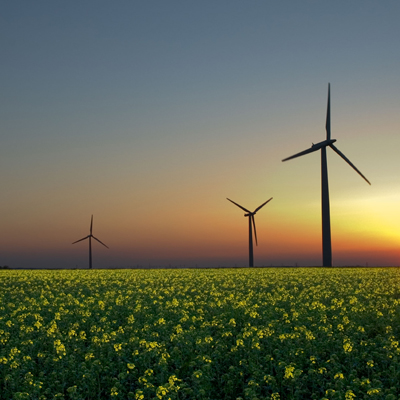 Wind turbines in a field at sunset
