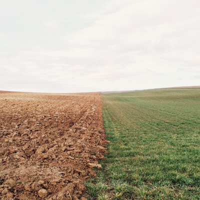 2016 03 Pixabay HalfDirtHalfGrass Green Teaser 01