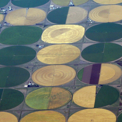 Circular crop fields