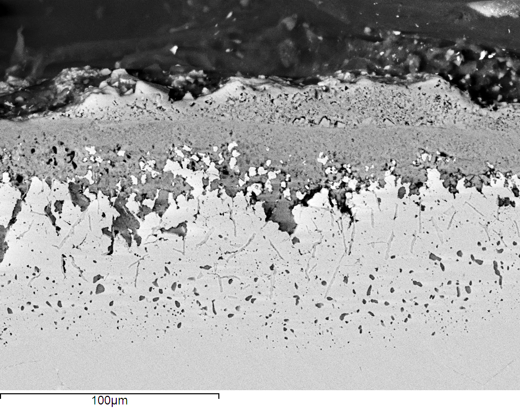 Cross-section through an alloy sample exposed to aggressive laboratory simulated coal-firing conditions