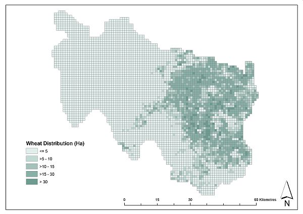 CatchIS: Example output from the ADAS landuse data, here a Wheat distribution. Copyright © ADAS UK LTD