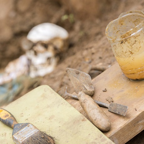Forensic Archaeology Mass Grave Excavation