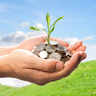 plant cradled in hands