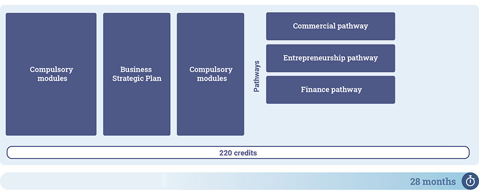 Exec MBA self-funded structure