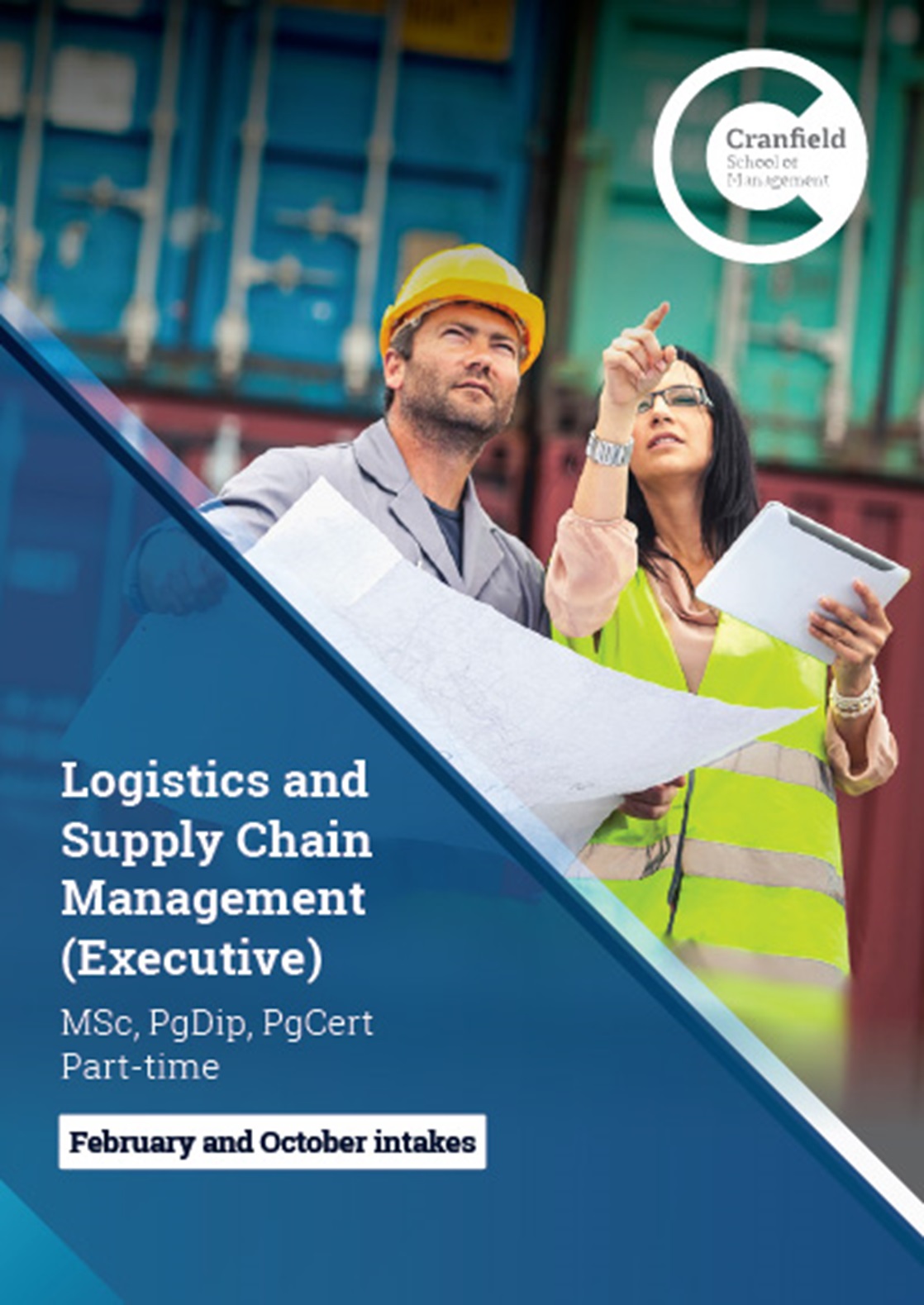 Logistics and Supply Chain Management MSc (Executive)