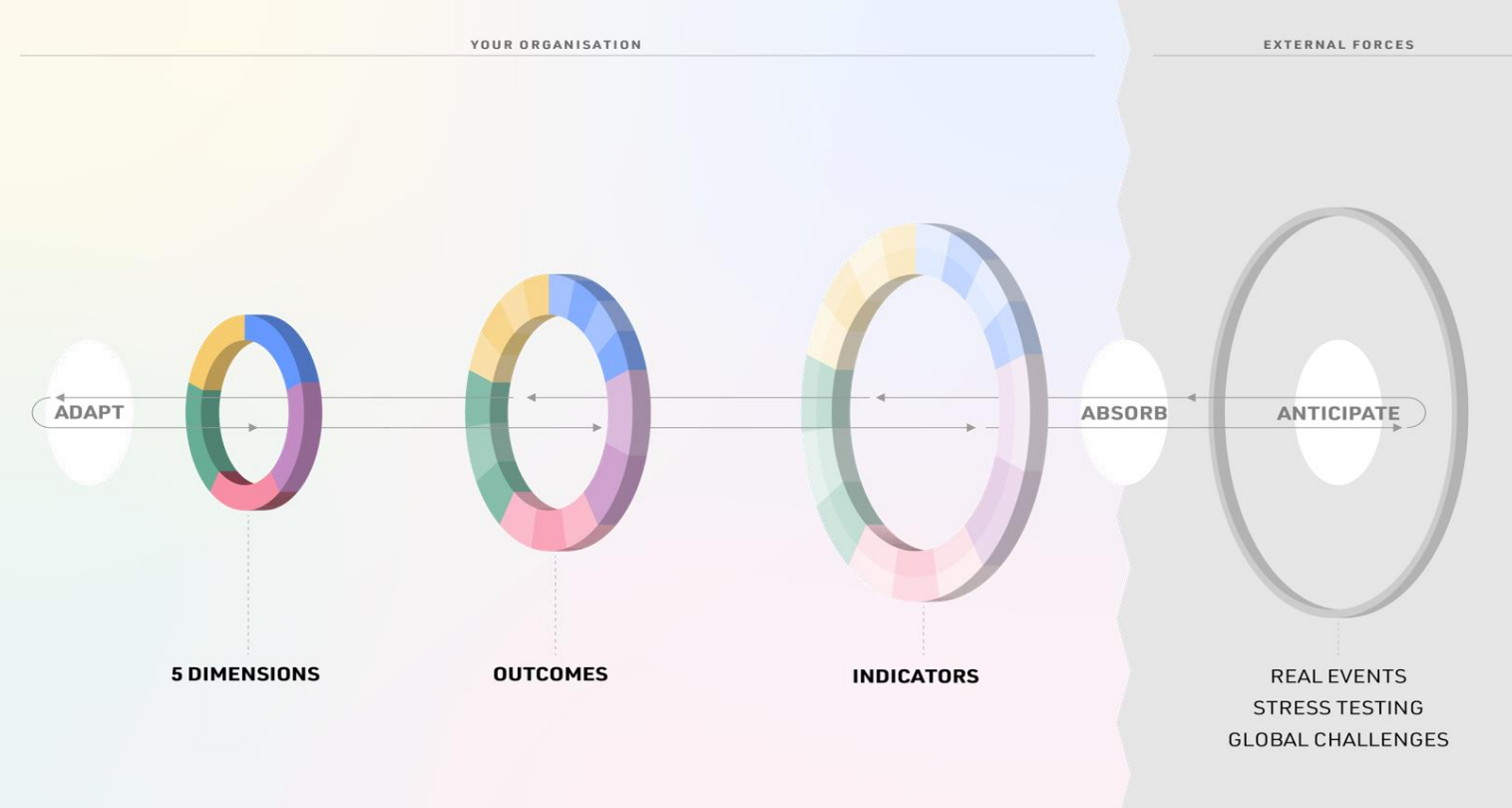 Organisational Resilience model