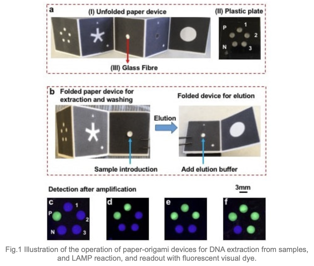 Paper sensors diagram
