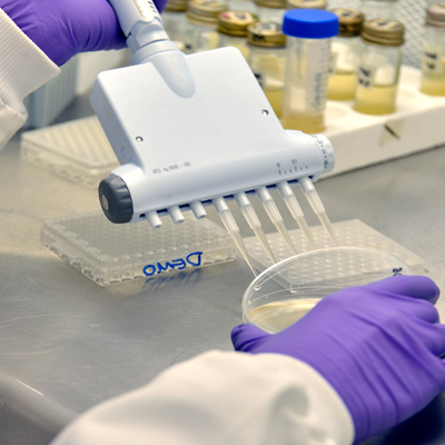 Volatiles Analytical Laboratory