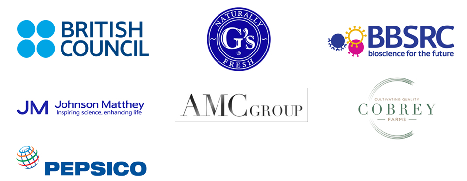 British Council, AMC Group, Johnson Matthey and Pepsico logos