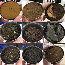 Soil samples collected for Soilstix project