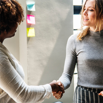 Professionals shaking hands