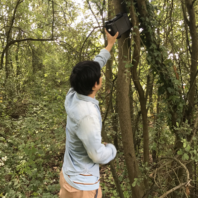 Urban Observatory bat research