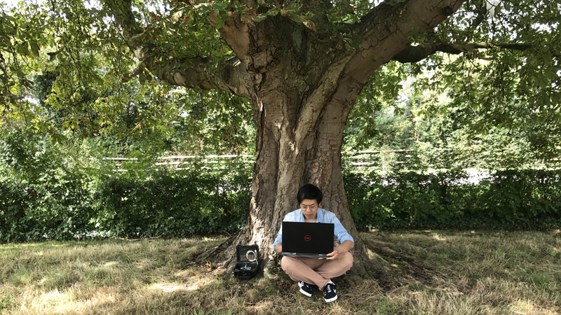 Urban Observatory bat research