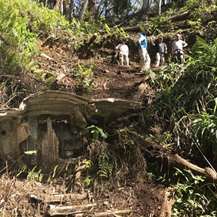 Group investigating air crash site
