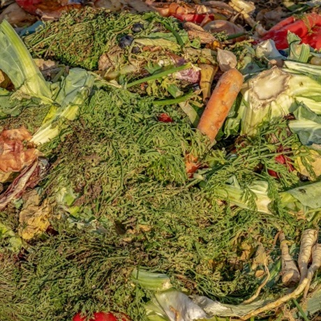 compost and food waste