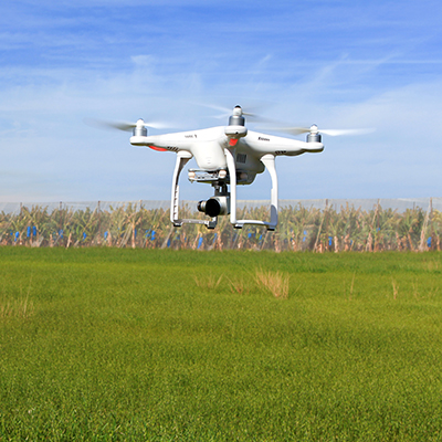 A drone flies over a field of grass