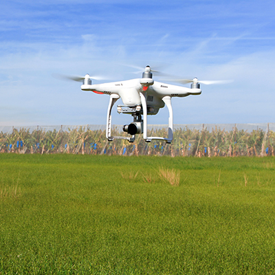 A drone flies over a field of grass