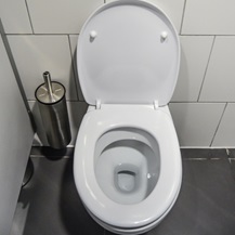 white toilet pan