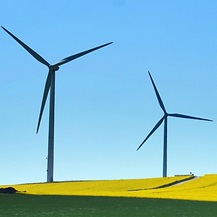 Two wind turbines in a crop field. 
