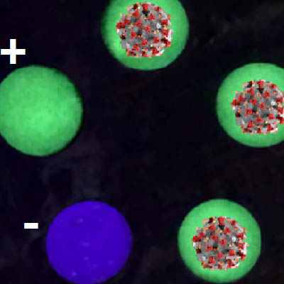 Covid-19 paper sensor