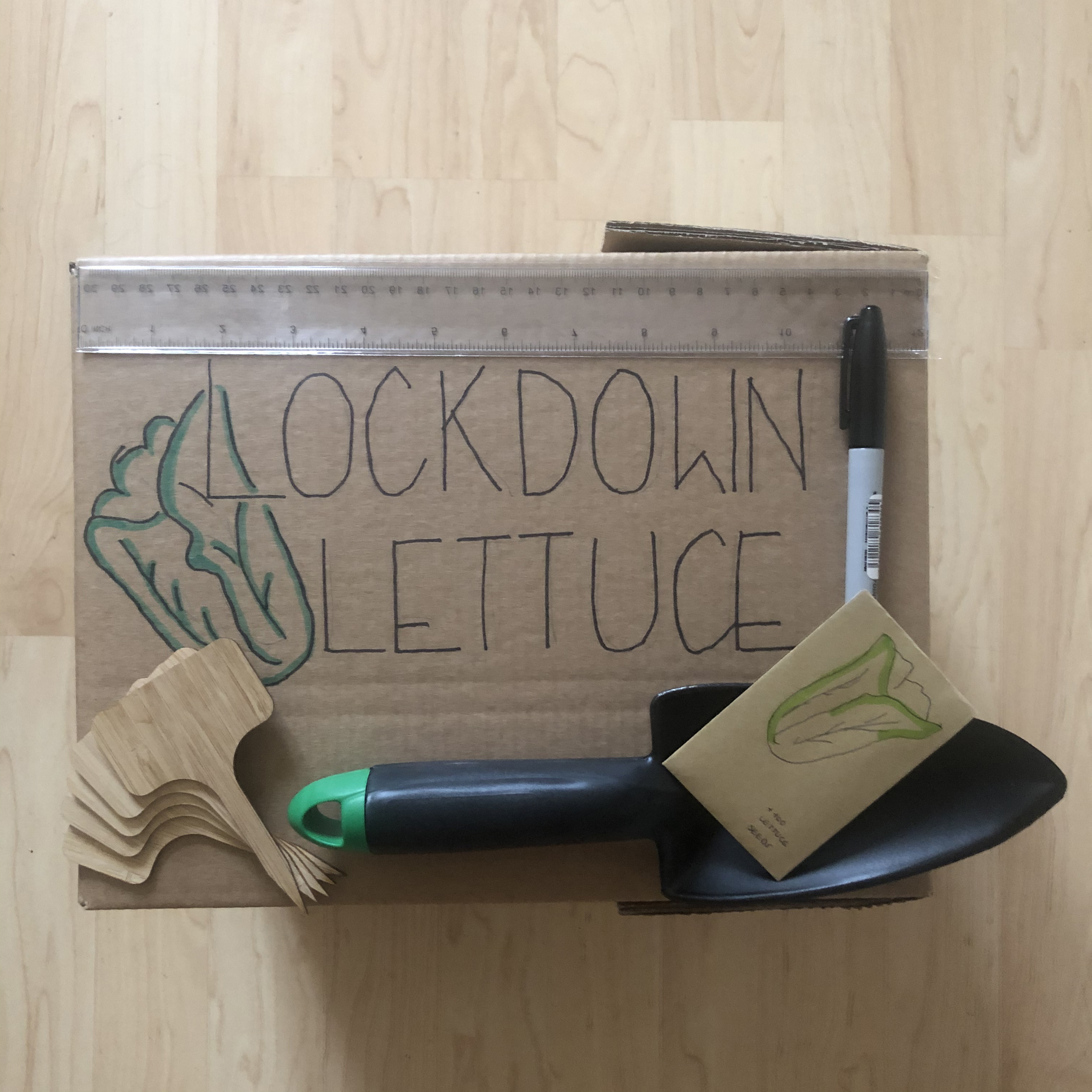 Lockdown Lettuce box with gardening supplies. 