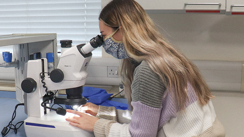 MSc student Rosie Crawford studying a sample using a microscope