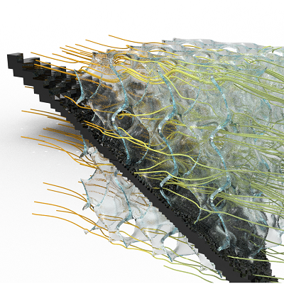 graphic diagram illustrating Voxshell software