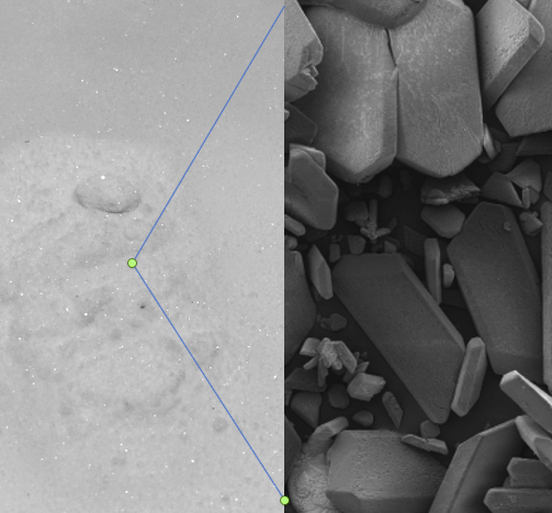 Recovered struvite from wastewater through biological mineral formation
