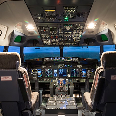 Flight simulator 