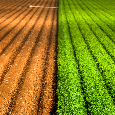 2016 05 iStock field crops green Agrifood Teaser 01