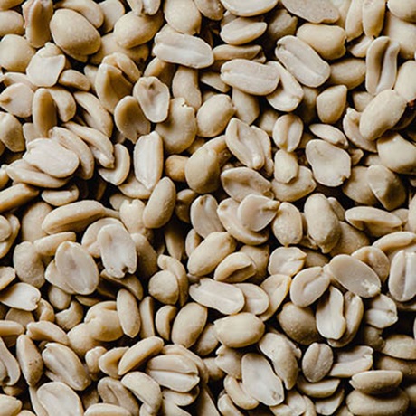 Close up of shelled peanuts