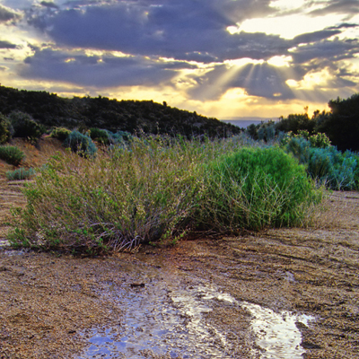 2016 05 iStock plant valley green Environment Teaser 01