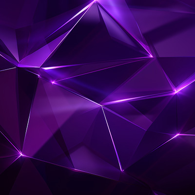 Project Programme and Change Management