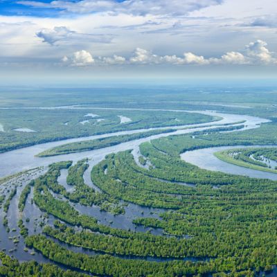 Aerial view of flooded forest and river