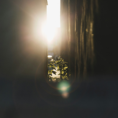 Help to Grow: Management Course