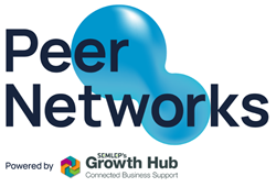 Peer Networks logo