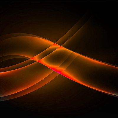 C-suite and board level