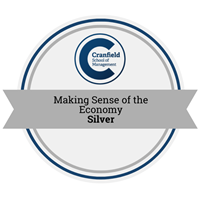 Silver Making Sense of the Economy