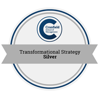 Silver Transformational Strategy