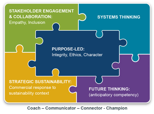 Leadership education for sustainability diagram