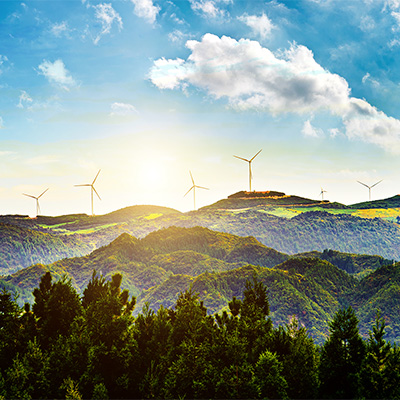 Sustainability group