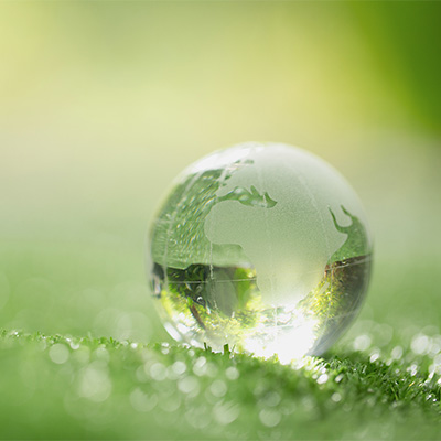 About the Sustainability group